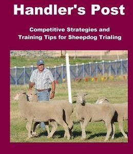 From the Handler's Post: Competitive Strategies and Training Tips for Sheepdog Trialing