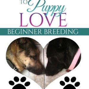 A Guide to Puppy Love: Beginner Breeding