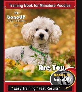 Miniature Poodle Training Book for Miniature Poodles By BoneUP DOG Training, Are You Ready to Bone Up? Easy Training * Fast Results, Miniature Poodle