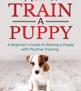 How to Train a Puppy: A Beginner's Guide to Raising a Puppy with Positive Training