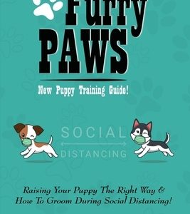 Furry Paws: Raising Your Puppy The Right Way & How To Groom During Social Distancing!