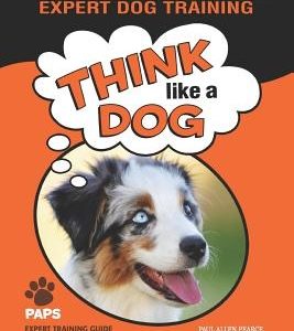 MINI AUSTRALIAN SHEPHERD Expert Dog Training: Think Like a Dog Here's Exactly How to Train Your Mini Australian Shepherd
