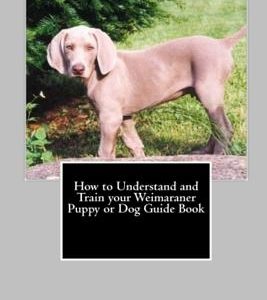How to Understand and Train your Weimaraner Puppy or Dog Guide Book