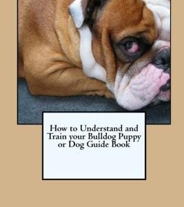 How to Understand and Train your Bulldog Puppy or Dog Guide Book