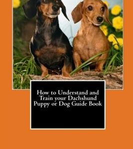 How to Understand and Train your Dachshund Puppy or Dog Guide Book