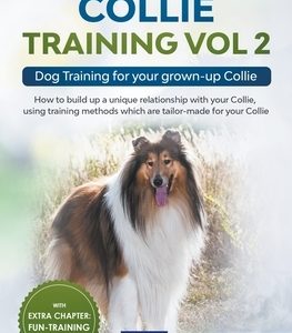 Collie Training Vol 2: Dog Training for Your Grown-up Collie