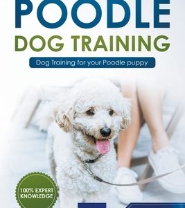 Poodle Training - Dog Training for your Poodle puppy