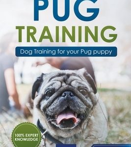 Pug Training: Dog Training for Your Pug Puppy
