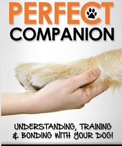 The Perfect Companion - Understanding, Training and Bonding with Your Dog!: 2017 Extended Edition