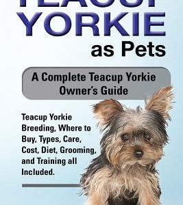 Teacup Yorkie as Pets: Teacup Yorkie Breeding, Where to Buy, Types, Care, Cost, Diet, Grooming, and Training all Included. A Complete Teacup