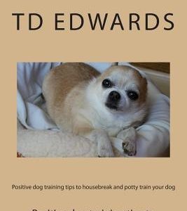 Positive dog training tips to housebreak and potty train your dog: How to train your dogs in easy steps