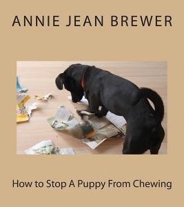 How to Stop A Puppy From Chewing