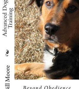 Beyond Obedience - Advanced Dog Training
