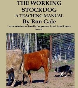 Educating the Working Stockdog