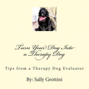 Turn Your Dog Into a Therapy Dog: Tips From a Therapy Dog Evaluator