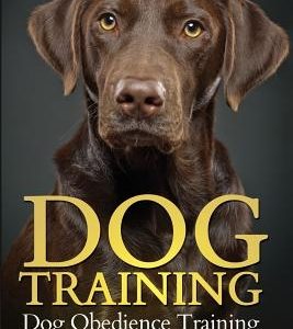 Dog Training: Dog Obedience Training