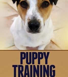 Puppy Training: Basic Dog Training Advice
