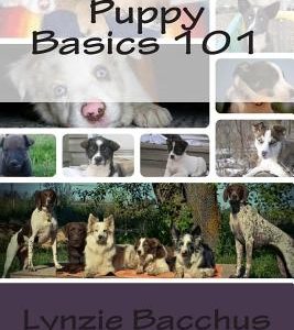 Puppy Basics 101: Bringing your new puppy home