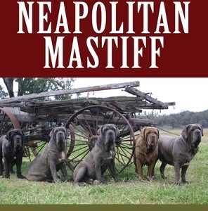 The Official Book of the Neapolitan Mastiff