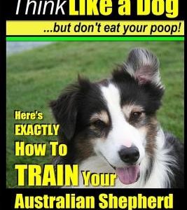 Australian Shepherd Dog Training Think Like a Dog, But Don't Eat Your Poop!: Here's Exactly How to Train Your Australian Shepherd