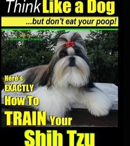 Shih Tzu, Shih Tzu training a: Think Like a Dog, But Don't Eat Your Poop!: Shih Tzu Breed Expert Training, Here's EXACLTY How to Train Yuor Shih Tzu