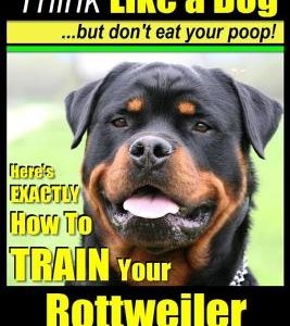 Rottweiler, Rottweiler training a: Think Like a Dog, but don't eat yuor poop!: Here's EXACTLY How to TRAIN Your Rottweiler