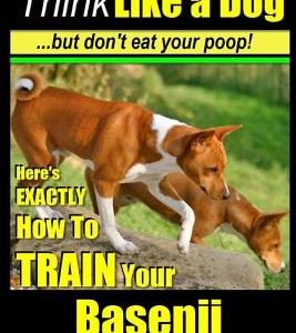 Basenji, Basenji Training AAA Akc: Think Like a Dog But Don't Eat Your Poop!: Here's Exactly How to Train Your Basenji