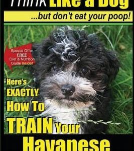Havanese, Havanese Training AAA AKC - Think Like a Dog, But Don't Eat Your Poop!: Here's EXACTLY How To TRAIN Your Havanese
