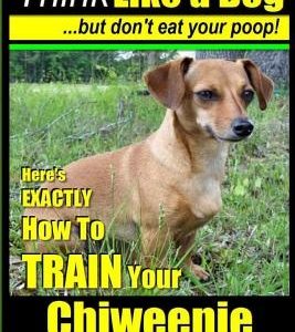 Chiweenie, Chiweenie Training AAA Akc Think Like a Dog...But Don't Eat Your Poop!: Chiweenie Breed Expert Dog Training - Here's Exactly How to Train Y