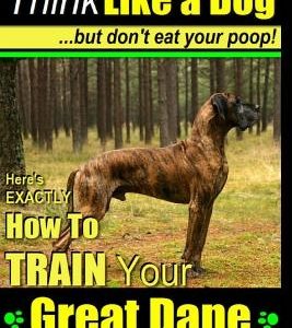 Great Dane, Great Dane Training AAA AKC - Think Like a Dog - But Don't Eat Your: Here's EXACTLY How To TRAIN Your Great Dane