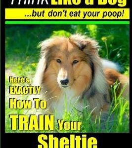 Sheltie, Sheltie Training AAA AKC - Think Like a Dog But Don't Eat Your Poop!: Here's EXACTLY How To TRAIN Your Sheltie