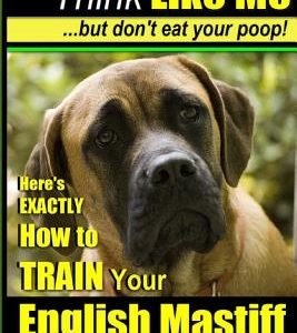 English Mastiff, English Mastiff Training AAA AKC - Think Like ME, But Don't Eat Your Poop!: Here's EXACTLY How To TRAIN Your English Mastiff