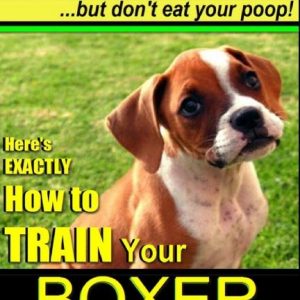 Boxer, Boxer Training AAA Akc: Think Like a Dog - But Don't Eat Your Poop!: Boxer Breed Expert Training - Here's Exactly How to Train Your Boxer
