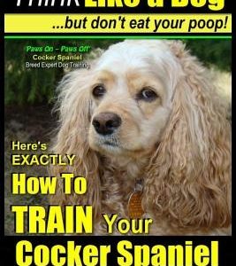 Cocker Spaniel, Cocker Spaniel Training AAA Akc: - Think Like a Dog, But Don't Eat Your Poop! - Cocker Spaniel Breed Expert Training -: Here's Exactly