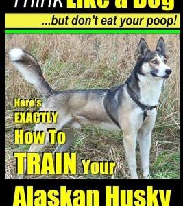 Alaskan Husky, Alaskan Husky Training AAA Akc: Think Like a Dog, But Don't Eat Your Poop!: Alaskan Husky Breed Expert Dog Training - Here's Exactly Ho