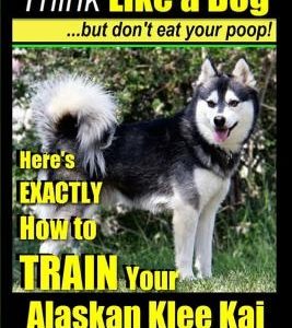 Alaskan Klee Kai, Alaskan Klee Kai Training AAA Akc: Think Like a Dog, But Don't Eat Your Poop! Alaskan Klee Kai Breed Expert Training: Here's Exactly