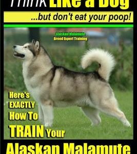 Alaskan Malamute, Alaskan Malamute Training AAA AKC: Think Like a Dog, but Don't Eat Your Poop! - Alaskan Malamute Breed Expert Training -: Here's EXA