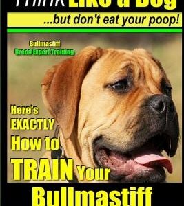 Bullmastiff, Bullmastiff Training AAA Akc Think Like a Dog, But Don't Eat Your Poop! Bullmastiff Breed Expert Training: Here's Exactly How to Train Yo