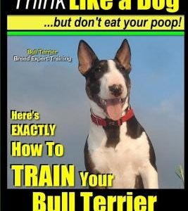 Bull Terrier, Bull Terrier Training AAA Akc: Think Like a Dog, But Don't Eat Your Poop! - Bull Terrier Breed Expert Training -: Here's Exactly How to