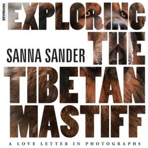 Exploring the Tibetan Mastiff: A Love Letter in Photographs