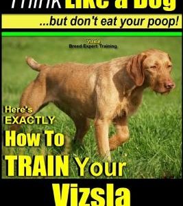 Vizsla, Vizsla Training AAA AKC: Think Like a Dog, but Don't Eat Your Poop! - Vizsla Breed Expert Training -: Here's EXACTLY How to Train Your Vizsla