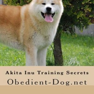 Akita Inu Training Secrets