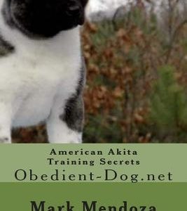American Akita Training Secrets: Obedient-Dog.net