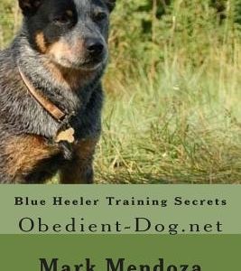 Blue Heeler Training Secrets: Obedient-Dog.net