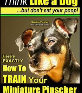 Miniature Pinscher, Miniature Pinscher Training AAA AKC - Think Like a Dog But Don't Eat Your Poop! - Miniature Pinscher Breed Expert Training -: Here