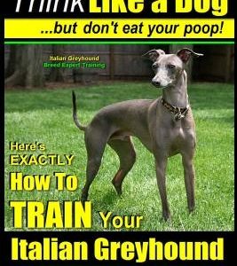 Italian Greyhound, Italian Greyhound Training AAA AKC: -Think Like a Dog But Don't Eat Your Poop! - Italian Greyhound Breed Expert Training -: Here's