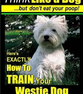 Westie, Westie Dogs, Westie Training AAA AKC: Think Like a Dog But Don't Eat Your Poop! - Westie Breed Expert Training -: Here's EXACTLY How To TRAIN