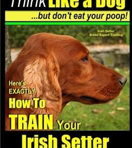 Irish Setter, Irish Setter Training AAA AKC: -Think Like a Dog But Don't Eat Your Poop! - Irish Setter Breed Expert Training -: Here's EXACTLY How to