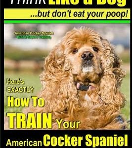 American Cocker Spaniel, American Cocker Spaniel Training AAA Akc: Think Like a Dog But Don't Eat Your Poop! American Cocker Spaniel Breed Expert Trai