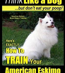 American Eskimo, American Eskimo Dog Training AAA Akc: - Think Like a Dog But Don't Eat Your Poop! - American Eskimo Breed Expert Training: Here's Exa